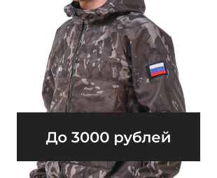 До 3000 рублей