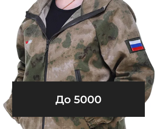 До 5000 рублей